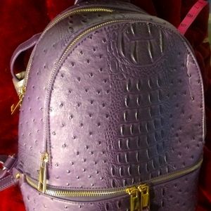Purple Purse/Backpack, no brand